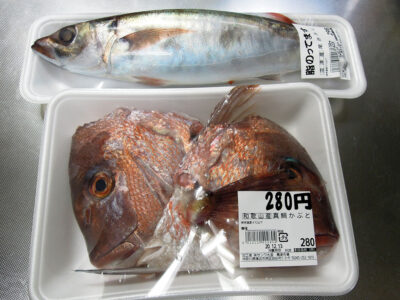 横浜橋商店街の黒潮で購入した沼津産の尾赤あじ（オアカムロ）と和歌山産真鯛のかぶと
