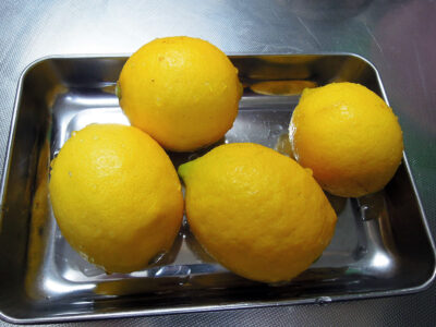 漁港の駅TOTOCO小田原の地場物産販売コーナーで買ってきた神奈川県産レモン