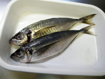 ライフ・ビエラ蒔田店で購入したあじ