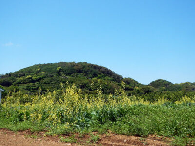 麓から見る武山だと思う