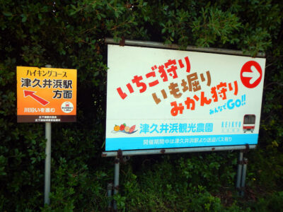 津久井浜観光農園への分岐