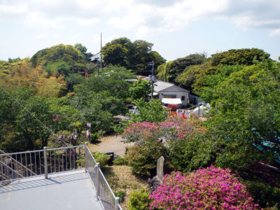 山頂に建つアゼリアハウスから見た山頂の風景
