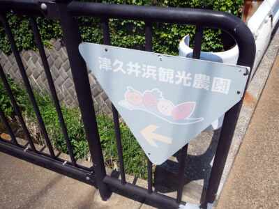 川沿いにある津久井浜観光農園への道標