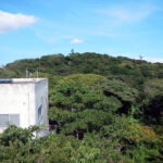 2025年夏の低山歩き 大楠山：安針塚駅～塚山公園～横須賀インター前～池上六丁目～大楠山山頂～大楠平～尾片瀬橋～前田川遊歩道～前田橋バス停～逗子・葉山駅