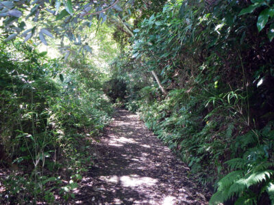 塚山公園に向かう山道