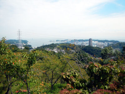 塚山公園、見晴台から横須賀港方面の展望