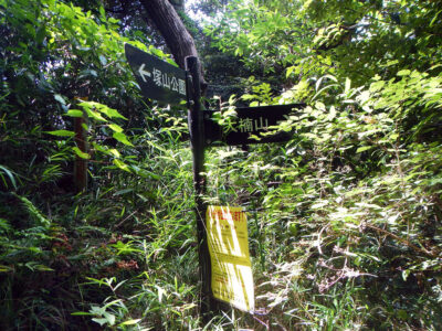 塚山公園から大楠山に向かう道を示す標識