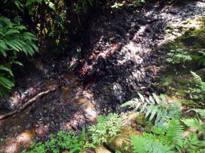 平作川に沿って道を進む
